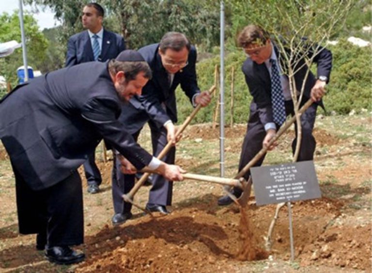 אנשים שותלים עץ